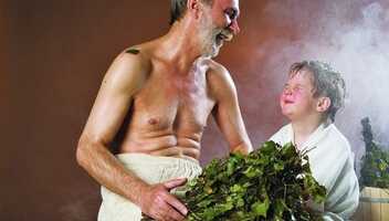 Хлещем вдоль и поперёк: выбираем идеальный веник в баню